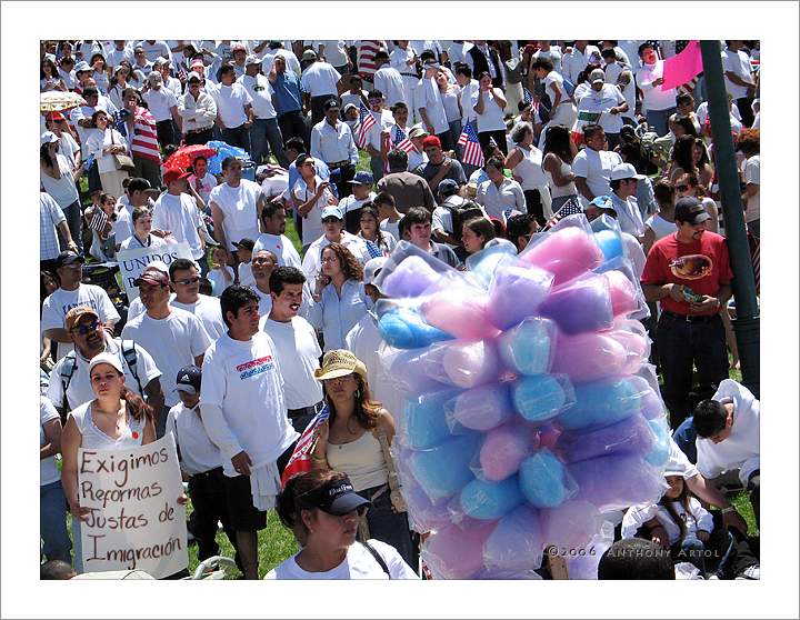 peaceful crowd of protesters